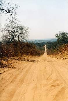 The road ahead - The thick yellow/orange sand road stretches ahead into the Kachikau district of Botswana. This was part of our discovery into the heart of Southern Africa. Read about this part of Africa in following updates. Photo: Christoff Botha